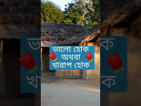 নিজের বাড়ির মতো শান্তি আর কোথাও নেই 🥰#shorts