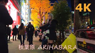 【4k】Tokyo walk-Akihabara🧸土曜日の秋葉原を散歩