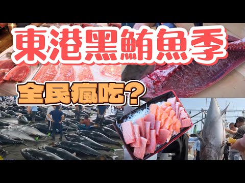 東港黑鮪魚季值得來嗎?｜黑鮪魚大出降價無感?｜禁捕令一出漁民慘了? #東港  #黑鮪魚 #夢幻金三角 #taiwan  #seafood  #漁港