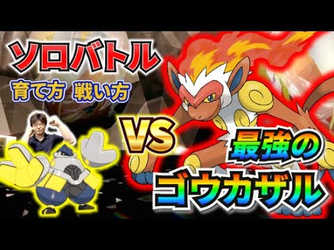 【最強のゴウカザル】ソロ攻略『テツノカイナ』の育て方とバトルの進め方！【ポケモンsv】