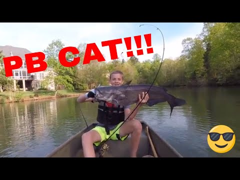 INSANE PERSONAL BEST CATFISH!! (Caught in Small Pond) 21.3 POUNDS!!