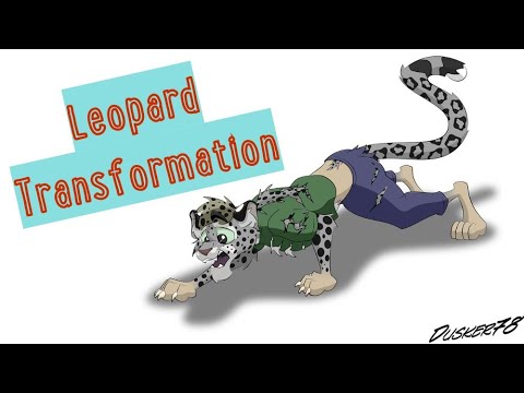 Leopard Transformation / Leopard TFTG