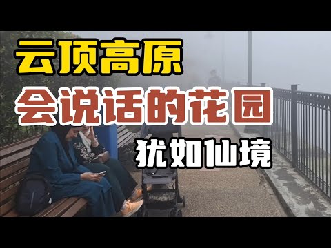 云顶犹如仙境般【会说话的花园】，大家有来体验过吗？【蘑菇园饭店】大家有多久没去用餐了