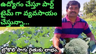 బ్రోకోలి సాగు||Broccoli Cultivation||Broccoli Broccoli Farming||Broccoli Crop.