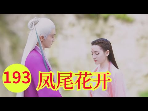 三生三世之凤尾花开193