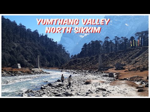 Yumthung Valley Tour  | North Sikkim Tour Plan