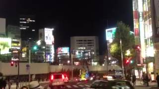 新宿アルタ前 ロボットレストランのロボ 旅ぬこCatjukevox