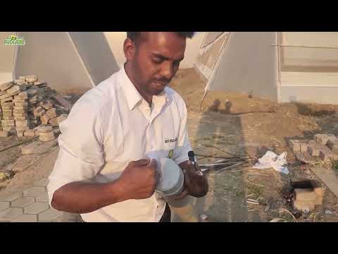 Avonest 2: Ajay experimenting with hydroponic spinach farming