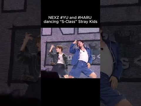 [NEXZ] #nexz #ネクスジ #yu #haru #straykids #富安悠 #井上陽 Ride The Vibe” debut showcase 240520