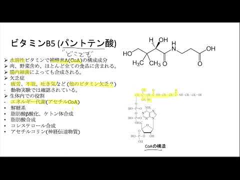 ビタミンB5 (パントテン酸)