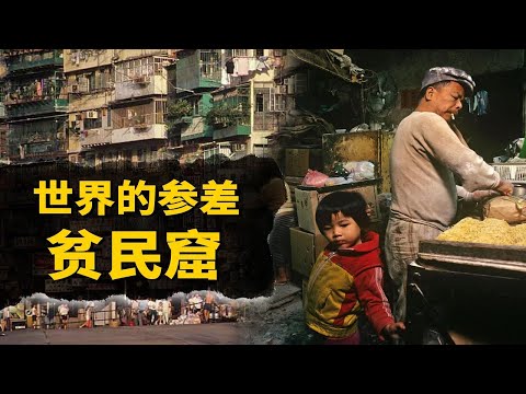 住在香港、印度最大的貧民窟是什麼體驗？他們為什麼選擇留在這裡？【叮叮貓不咬人】