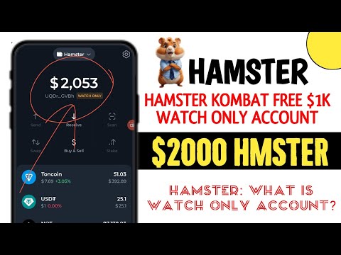 Hamster Kombat: What is Watch Only Account? | Free $2,000 In Hamster Watch Only Account $HMSTER