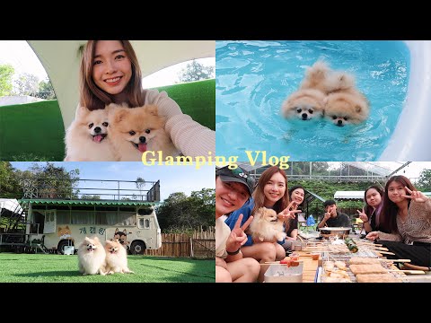 Glamping vlog | 雲頂半山露營 狗狗生日Glamping 2天1夜 米飯姐妹｜StephyYiwen