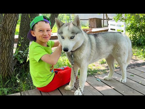 Sofia and Max want to get a new pet