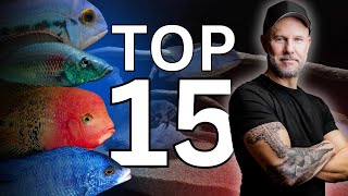 My 15 COOLEST American Cichlids & African Cichlids of ALL TIME