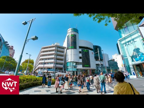 Tokyo Omotesando And Ura-Harajuku 2021 Spring 4K