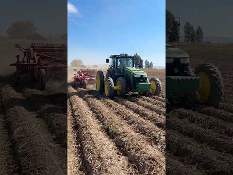 How potatoes are harvested! #farm #potatoes #potatoharvest #harvest