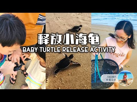 释放小海龟活动 Baby Turtle Release Activity 🐢