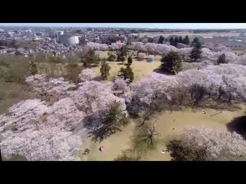 Hyde Park - Inariyama-koen drone view