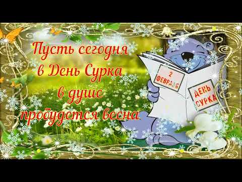 С Днём Сурка! Пробуждения самых тёплых чувств! (HD)