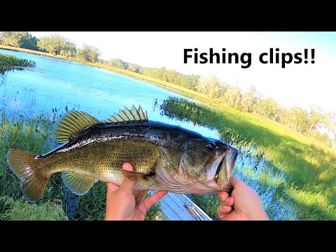 Bass fishing! Fishing bits and clips! Gator tail GTR40XD