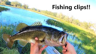 Bass fishing! Fishing bits and clips! Gator tail GTR40XD