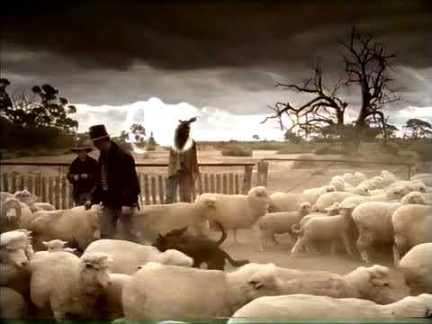 ABC Ident - Sheep farmers (2006)