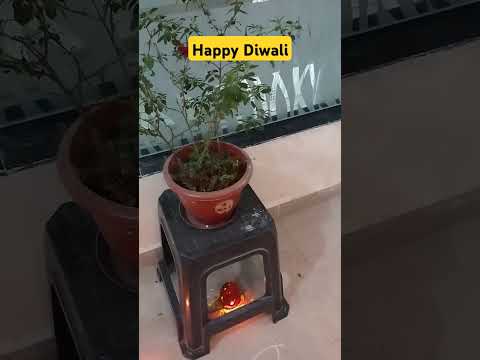 #diwali #diwalispecial