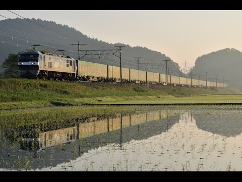 湖東野を行く貨物列車たち　～2016皐月～