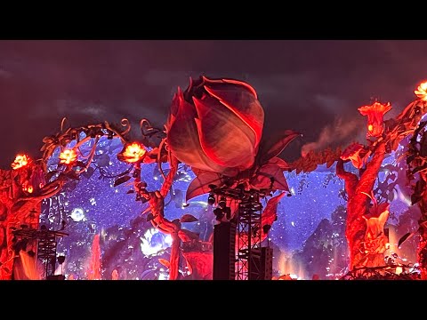 Tomorrowland 2024 - Lost Frequency and Eating Lobster, Mussels, & Shrimp at The Mesa Garden