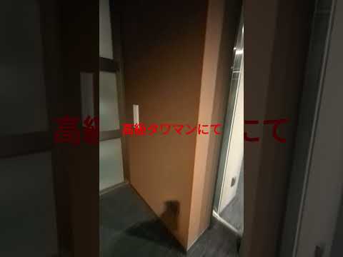 滝沢動画1603高級タワマン