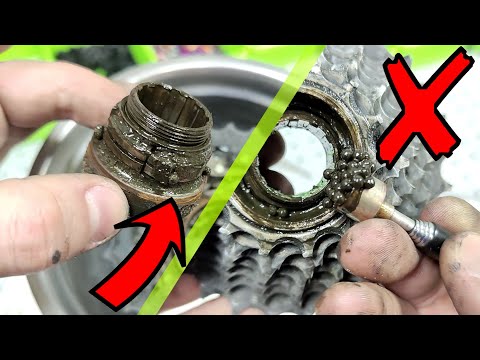 How to fix bike freewheel. Pedals turn, but bike doesn't move.