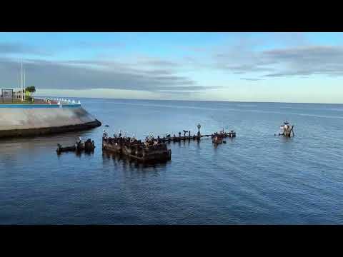 Campeche Seascape, Mexico