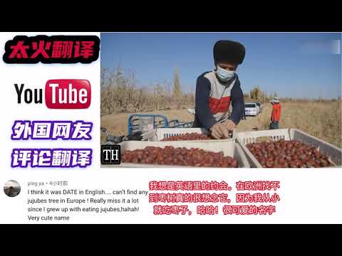 中国新疆红枣收获季节，老外：勤劳中国人＋自动化机器是无敌的