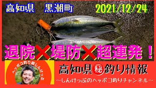 【高知県㊙️釣り情報】㊗️退院！ご心配をおかけいたしました！堤防はえらい事に！