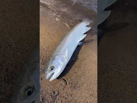 【釣り初心者の奇跡】野反湖で青い鱒釣った