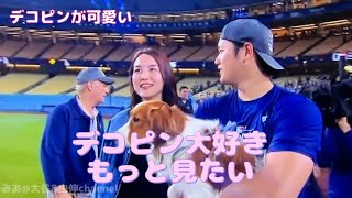 抱っこされてるデコピンが可愛すぎる🐶