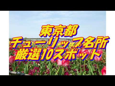 08【東京都】チューリップの名所＜10選＞