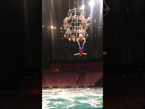 Ouch 😯 when things don’t go as planned #circus #acrobat #fail #shorts Performer: Sophie