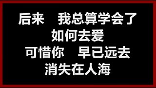 刘若英 - 《后来》 [歌词]