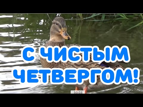 С Чистым Четвергом! Пусть очистится душа! Смоет все грехи вода!💦💦💦