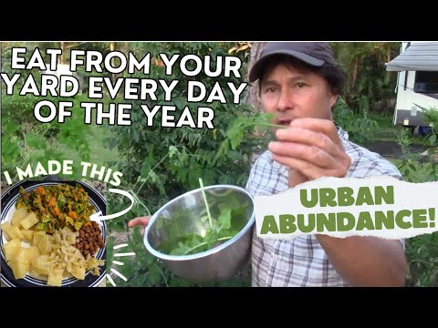 How I Eat from a South Florida Permaculture Food Forest & You Can Too