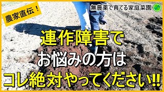 【土づくり】やるなら今！天地返しや寒起こしで病害虫を減らす方法【有機農家直伝！無農薬で育てる家庭菜園】　24/12/24