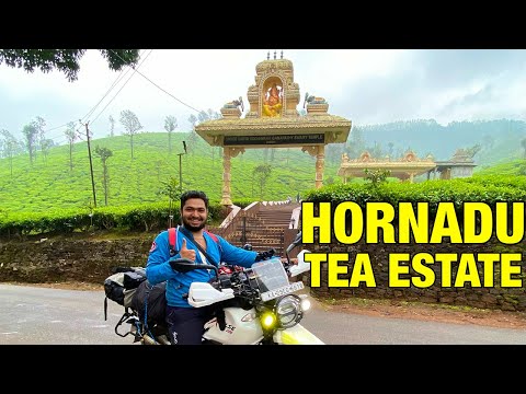 Kudremukha Peak | Hornadu | Kalasa | Samse Tea Estate | Bike Ride Western Ghats | Kannada Vlog