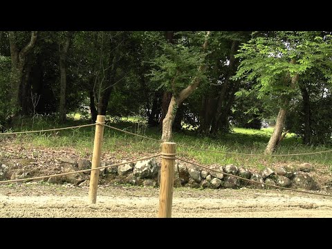 宇佐神宮流鏑馬神事　Usa-Jingu shrine Yabusame ritual