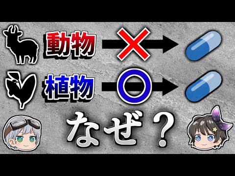 【ゆっくり解説】なぜ植物は薬になり動物は薬にならないのか？－植物の生存戦略－