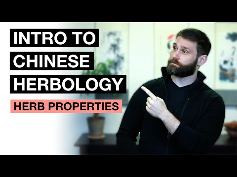 Taste, Temperature, Channel, & Direction - Basic Properties of Herbs in TCM | Intro to Herbology