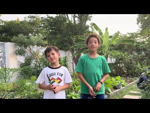 I was not at home for a few days  and the vegetable garden was a little messy. I asked two handsome