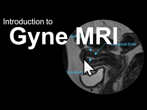 Introduction to Gyne MRI (Female Pelvis): Case-Based Course