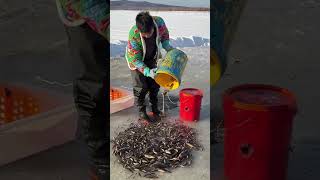 Fishing hunting #1000subscriber #fishing #1millonveiws #1millionsubcriber